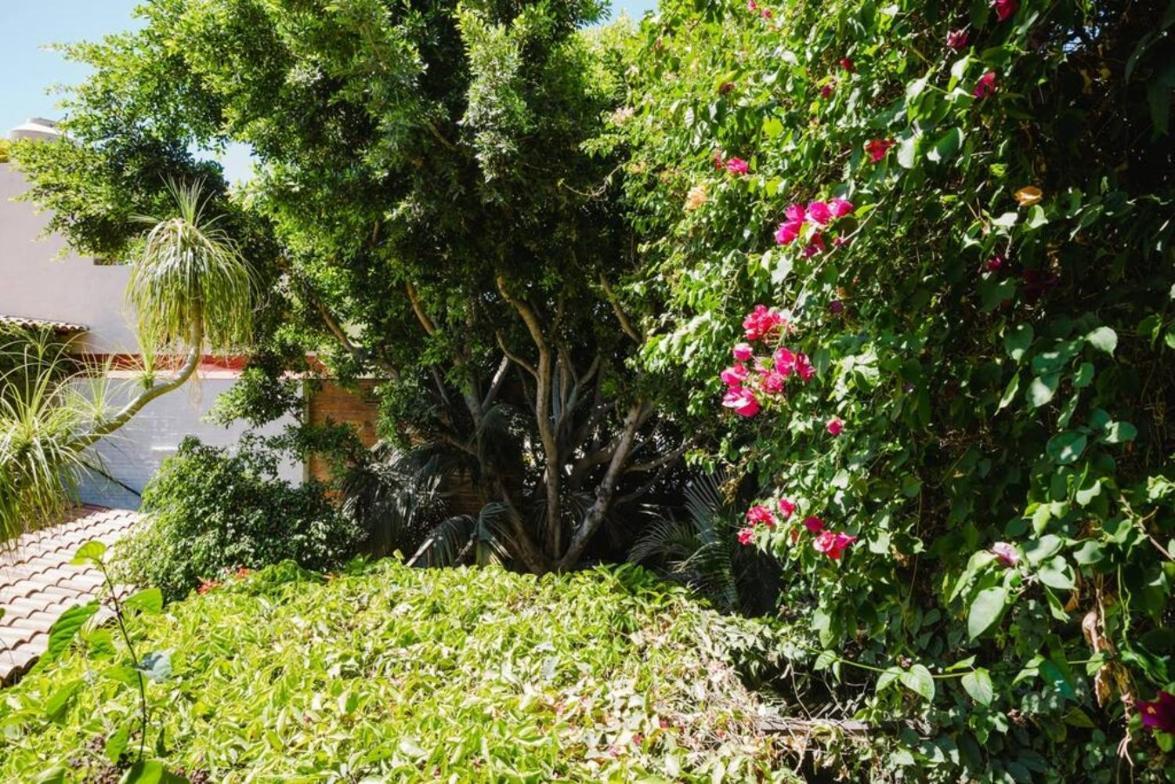 Enjoy Ac In The Queen'S Suite At Inn Ajijic Eksteriør bilde